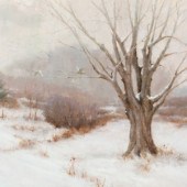 Timothy R. Thies
(American, 19