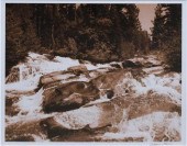 TIPPER GORE, SEPIA PHOTOGRAPH