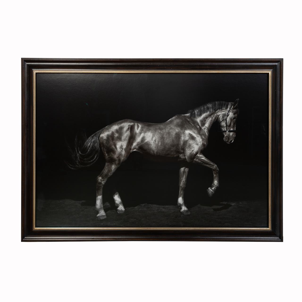 TODD MURPHY ARCHIVAL PRINT
