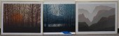 TODD ROWLAND, THROUGH THE TREE