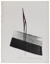 TOKO SHINODA (NEW YORK/JAPAN,