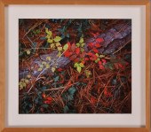 TOM BLAGDEN (b. 1931): FOREST