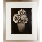 TOM BOS, LARGE FORMAT STILL LI