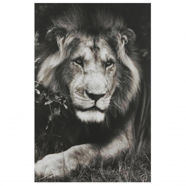 TOM BOSSARD (SC), PORTRAIT OF A