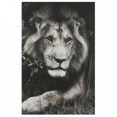 TOM BOSSARD (SC), PORTRAIT OF
