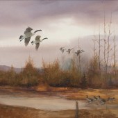 Tom Sander
(American, b. 1938)