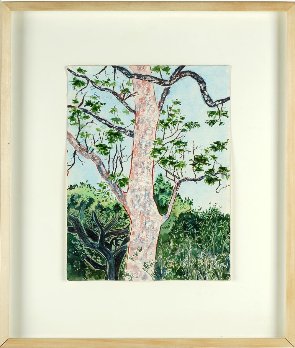 TOM WUDL (B. 1948):