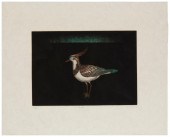 TOMOE YOKOI (B. 1943), "BIRD,"
