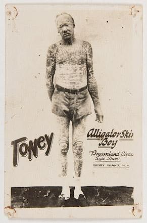 TONEY ALLIGATOR SKIN BOY SIDESHOW