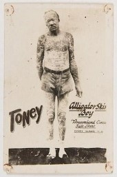 TONEY ALLIGATOR SKIN BOY SIDES