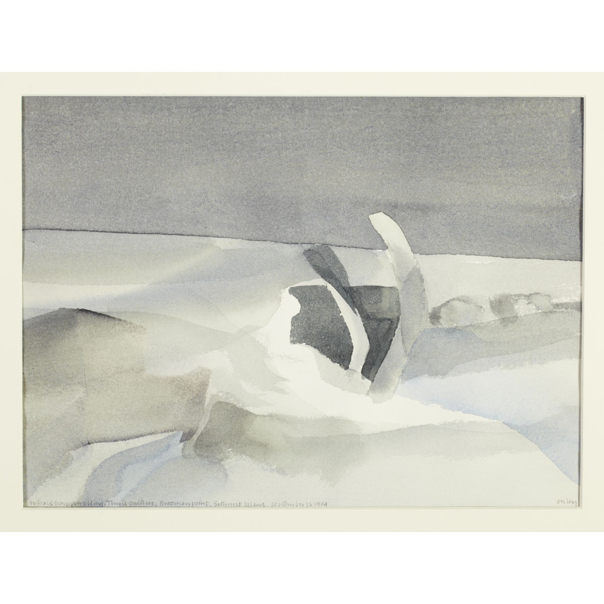 TONI ONLEY A.R.C.A. WHALEBONE