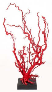 TONY DUQUETTE MANNER "CORAL" T