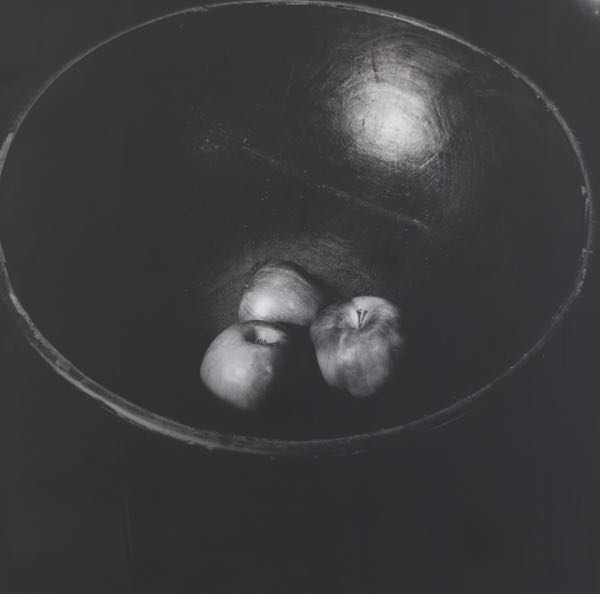TONYA HARRIS (20TH CENTURY,