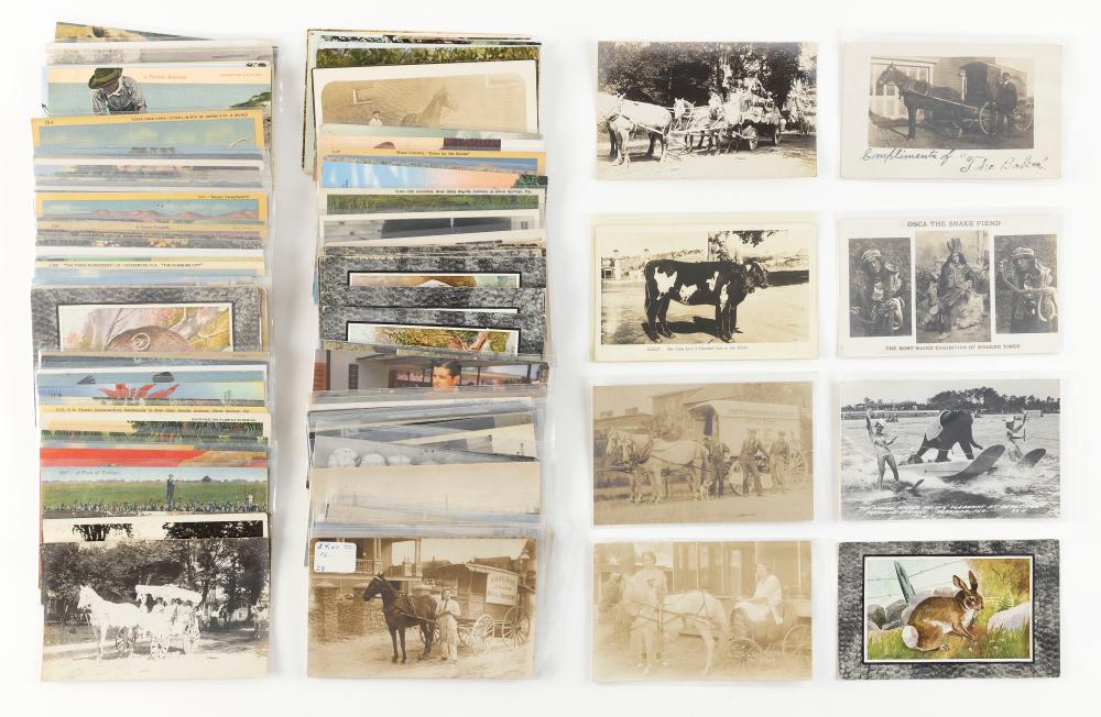 (TOPICAL) ANIMALS: 159 POSTCARDS