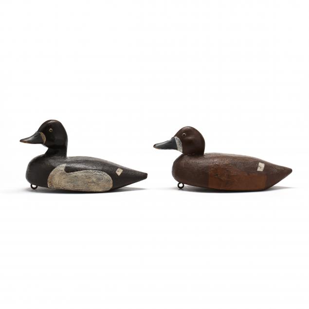 TORONTO SCHOOL PAIR OF RINGNECKS