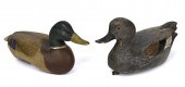 TORRY WARD AND OTHER DUCK DECO