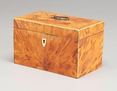 Tortoise tea caddy, box or caddy