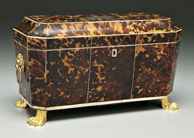 Tortoise tea caddy, tortoise panels