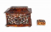 TORTOISESHELL AND MOTHER OF PE