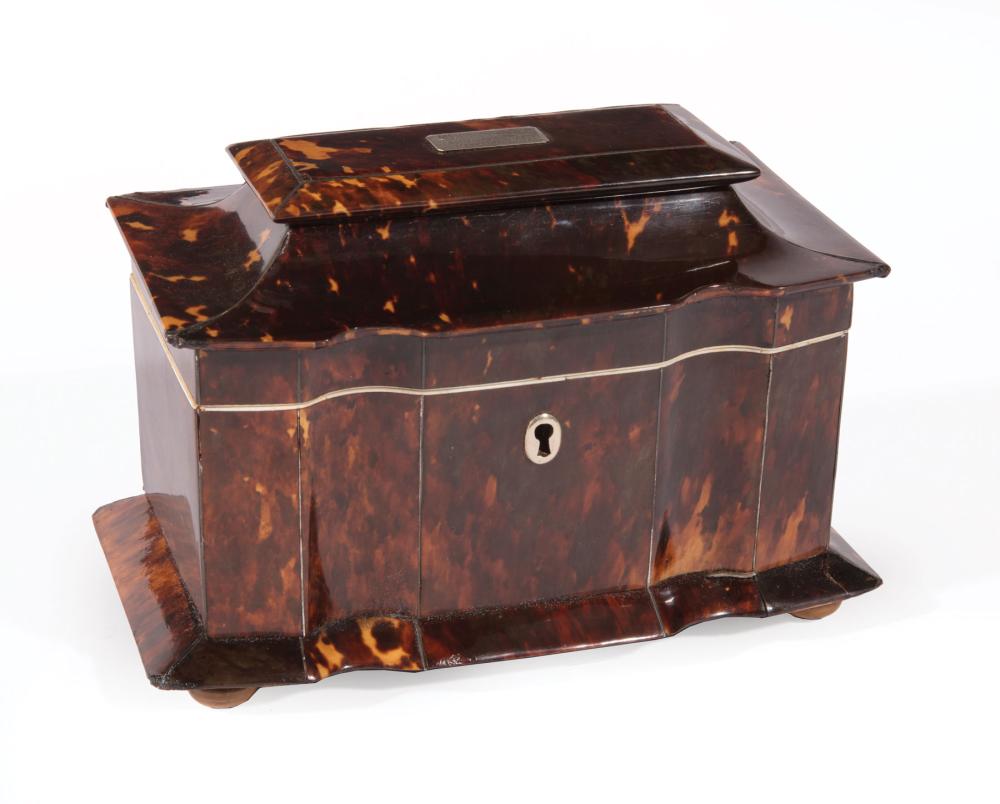 TORTOISESHELL SARCOPHAGUS FORM