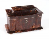 TORTOISESHELL SARCOPHAGUS FORM