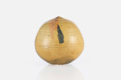 TOSHIKO TAKAEZU, UNTITLED (WIT