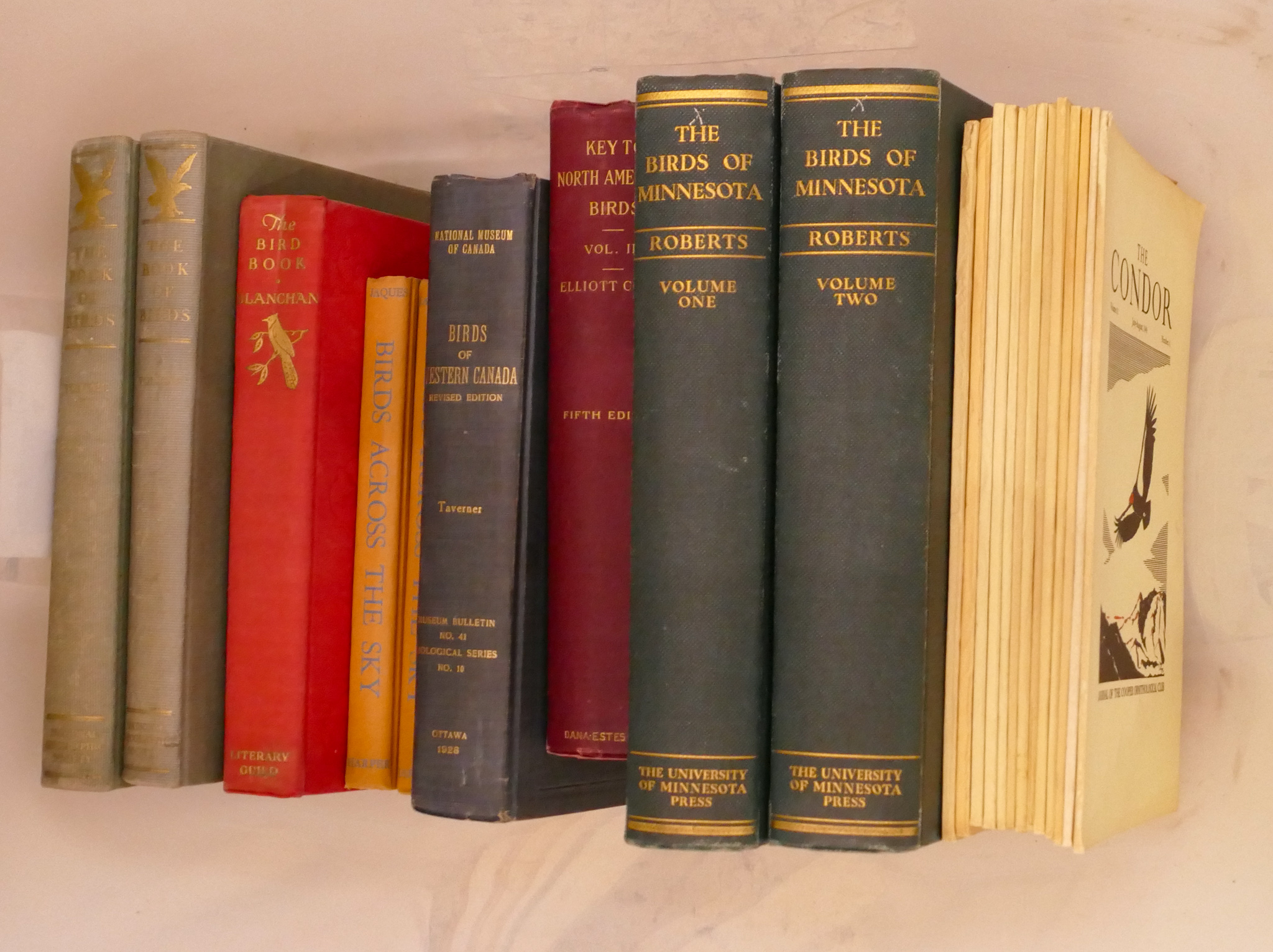 Tote Birds of Minnesota 2 Volume