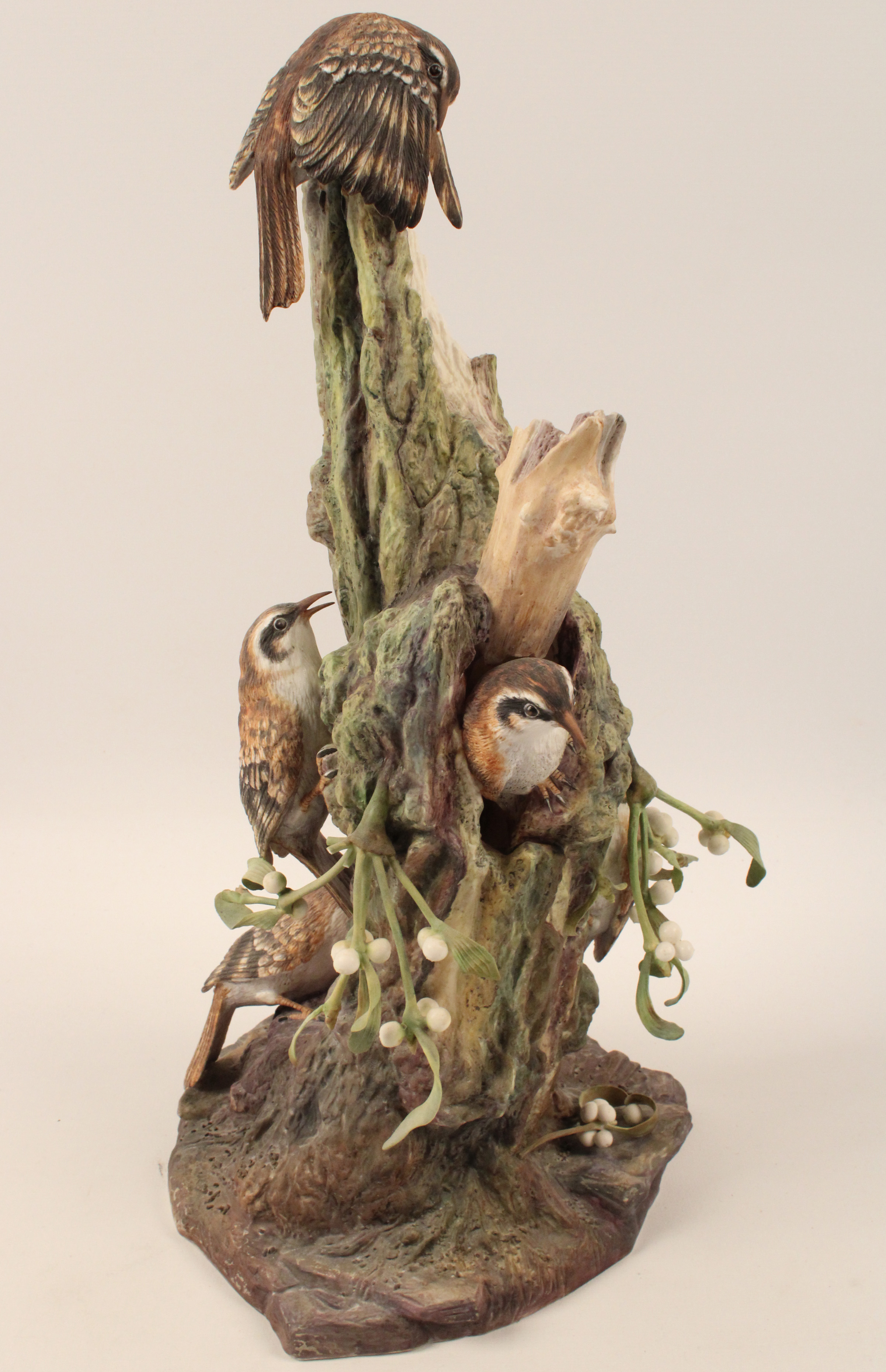 TREECREEPERS WITH ELDER AND