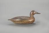 TREGO-RIG BLUE-WINGED TEALRobe