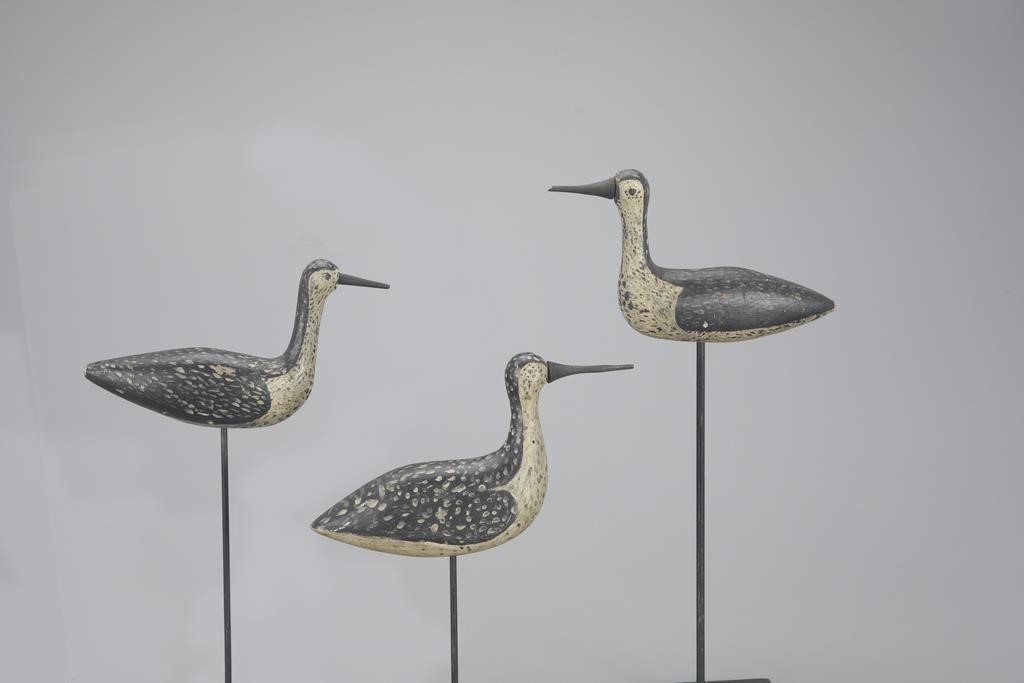 TRIO OF HIGH-HEAD YELLOWLEGSSouth