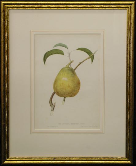 Trio of Sharp & Son Bookplate