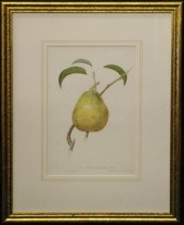 Trio of Sharp & Son Bookplate