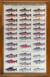 "TROUT, SALMON AND CHAR OF NOR