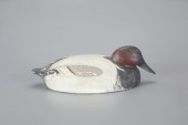 TUCKED-HEAD CANVASBACKThe Ward
