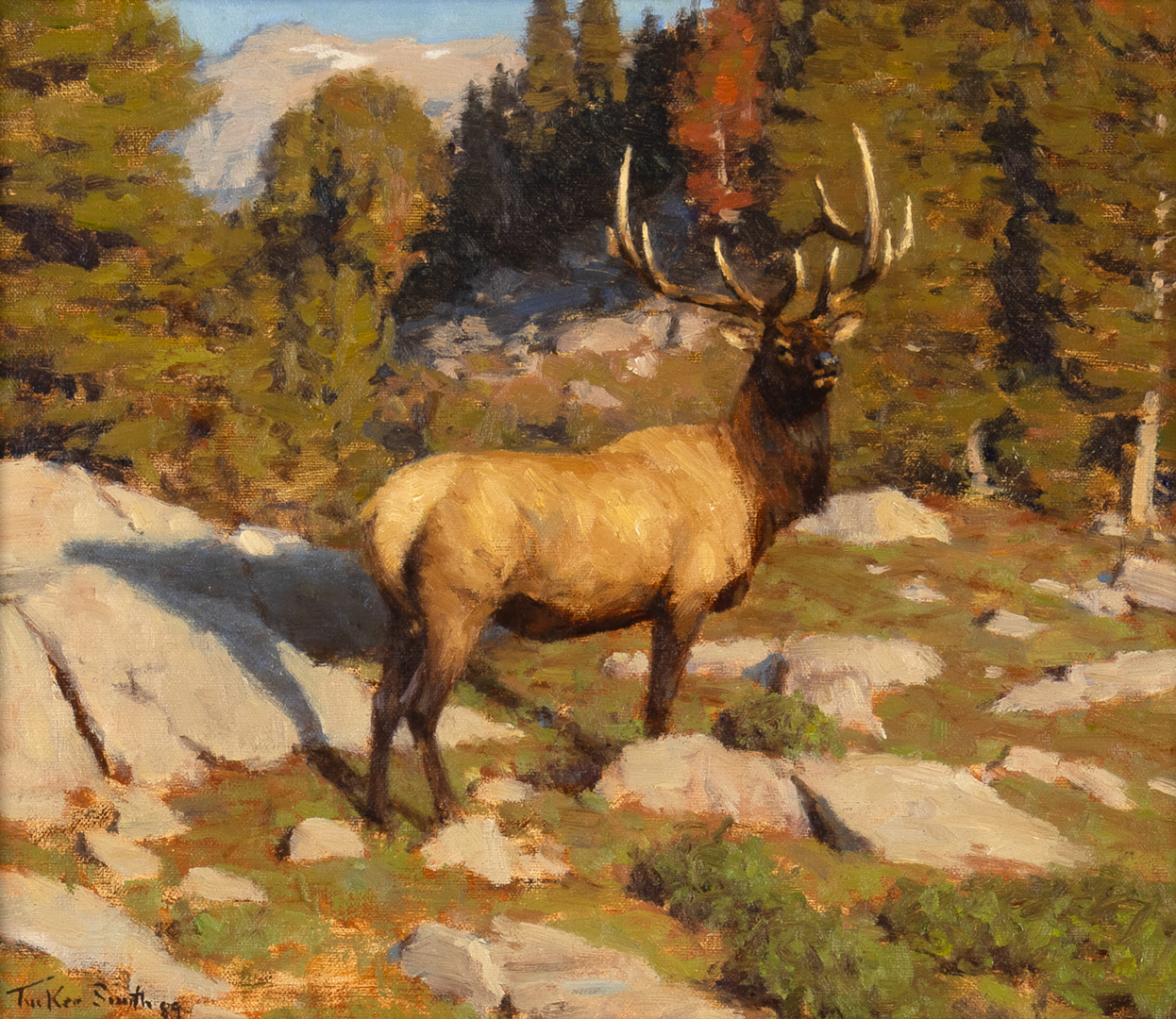 TUCKER SMITH (1940- ), ELK Title:
