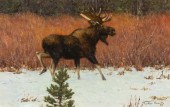 TUCKER SMITH (1940- ), MOOSE &