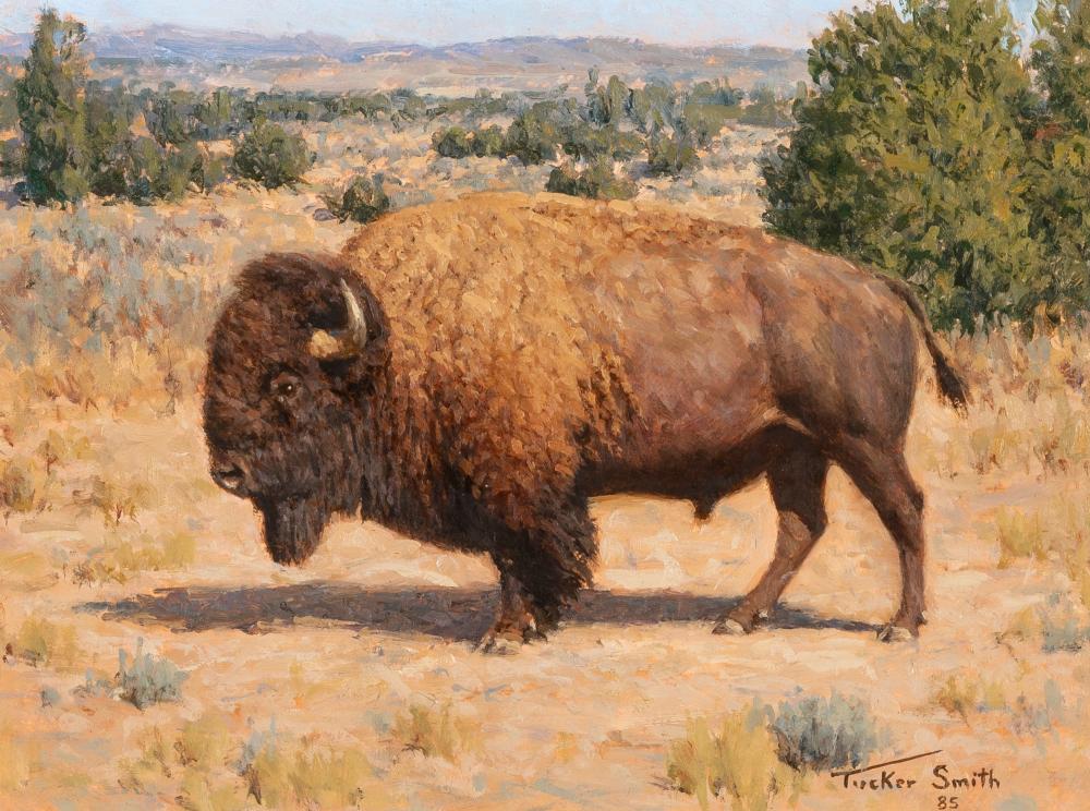 TUCKER SMITH, PLAINS BISON,