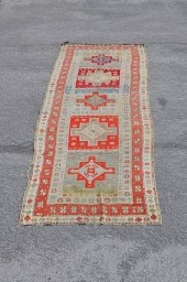 TURKISH RUNNERTurkish runner,