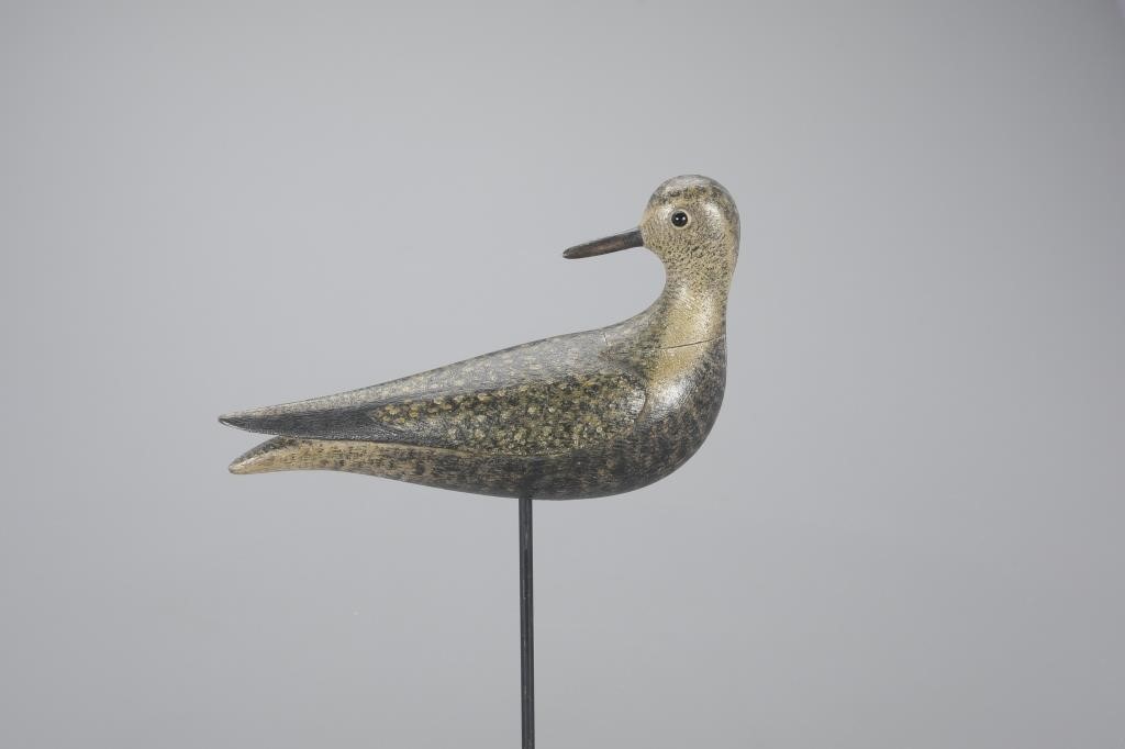 TURNED-HEAD GOLDEN PLOVERMark S.