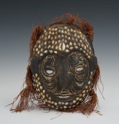 Turtle Shell Mask Torres Strai