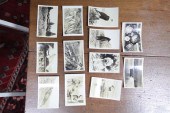 TWELVE ALASKA REAL PHOTO POSTC
