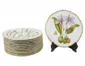 TWELVE ANNA WEATHERLEY PORCELA