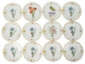 TWELVE ANNA WEATHERLEY PORCELA