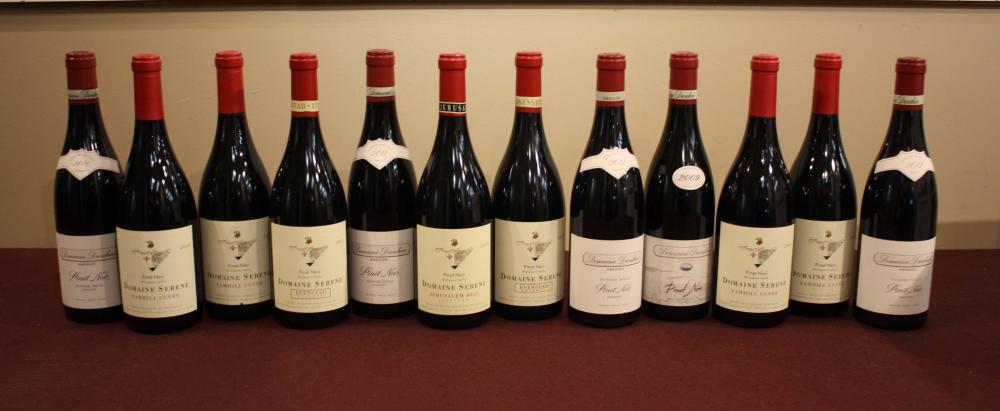 TWELVE BOTTLES OF OREGON PINOT NOIR