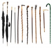 TWELVE CANES, RODS, ETC. 19TH