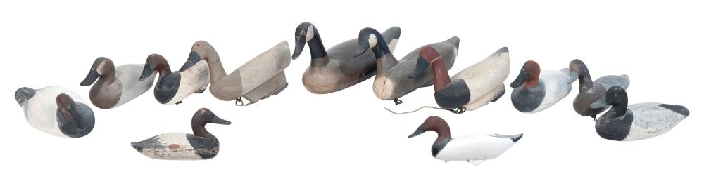 TWELVE CHESAPEAKE BAY DECOYS