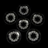 Twelve Lalique Rolleboise Plat