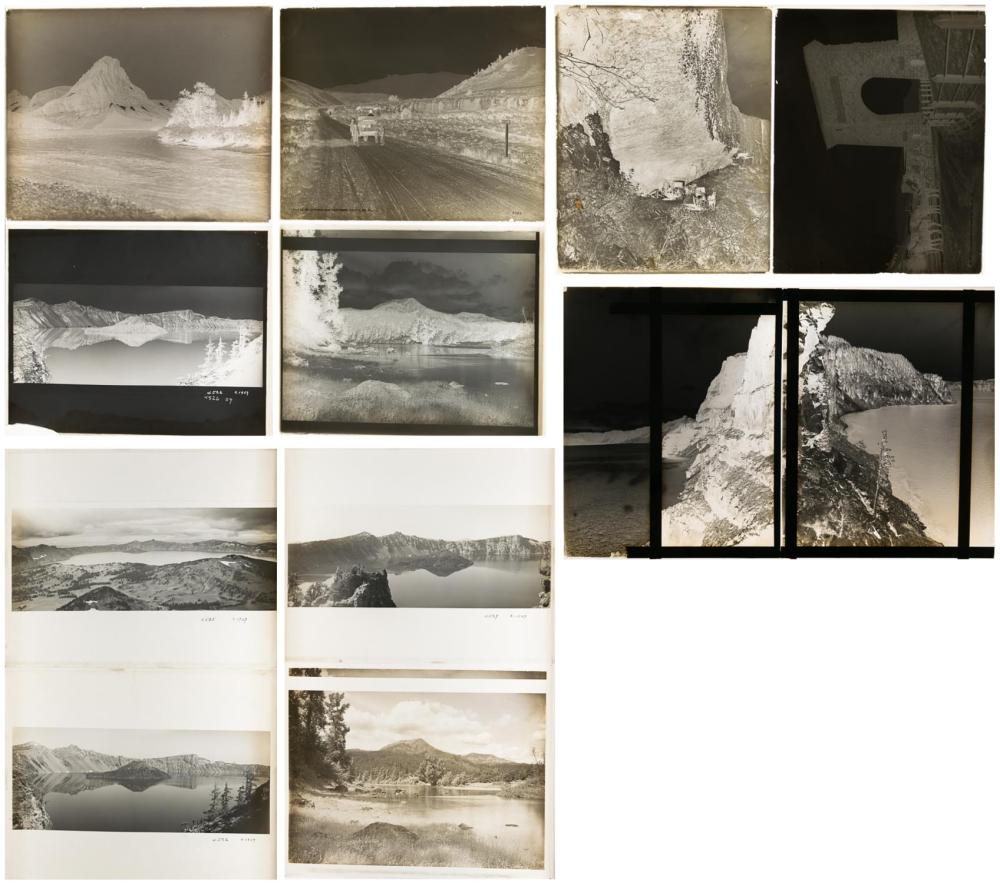 TWELVE PHOTOGRAPHIC GLASS NEGATIVES