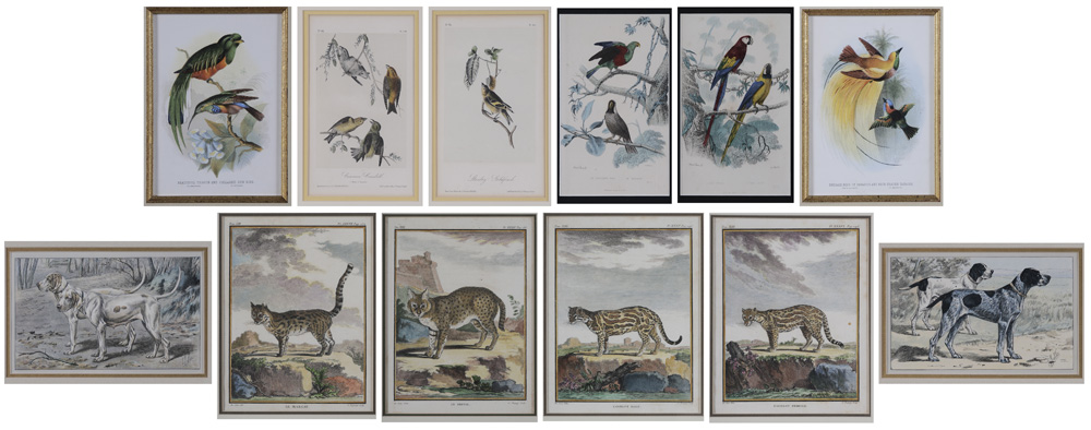 Twelve Prints (19th and 20th