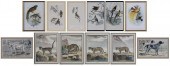 Twelve Prints (19th and 20th c